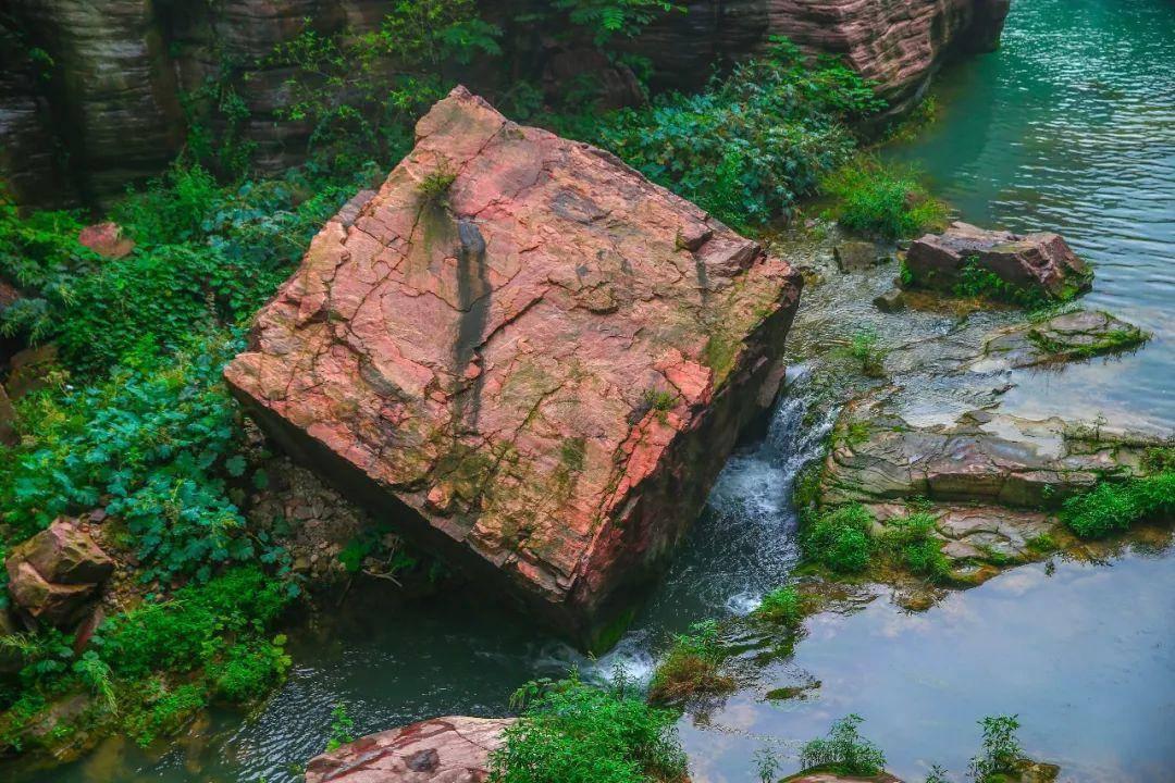 公告牌音乐奖